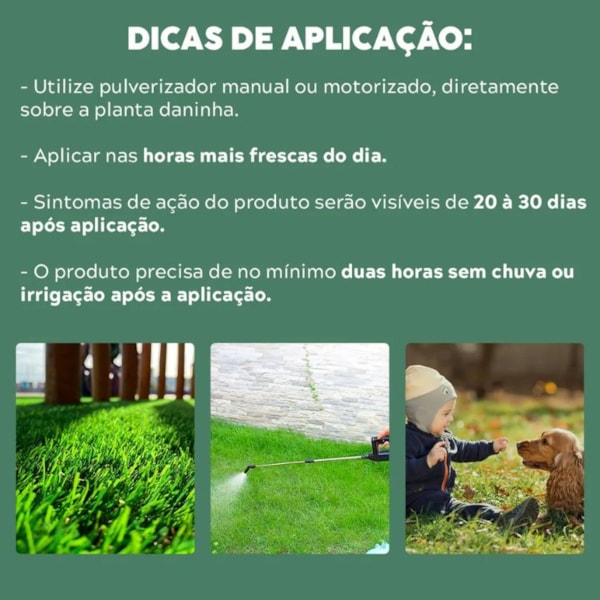 HERBICIDA KAPINA PLUS 60ML DESINFETANTE PARA GRAMADOS-fbd81103-6925-45e6-a2fb-91713685f9f4