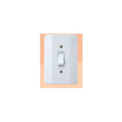 Interruptor Simples Mec Tronic Millenium 10A 250V Com Placa