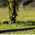 MANGUEIRA DE IRRIGAÇÃO SANTENO II 100M MICROJATO 15CM LATERAL-4d18baa2-e2ff-4c7d-872c-293f5806a99f