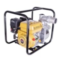 Motobomba Autoescorvante Gasolina 7Cv Buffalo Manual Bfg 3