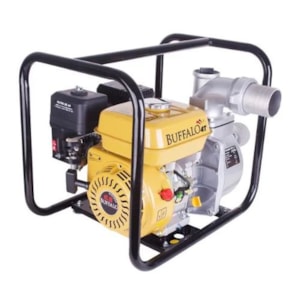 Motobomba Autoescorvante Gasolina 7Cv Buffalo Manual Bfg 3