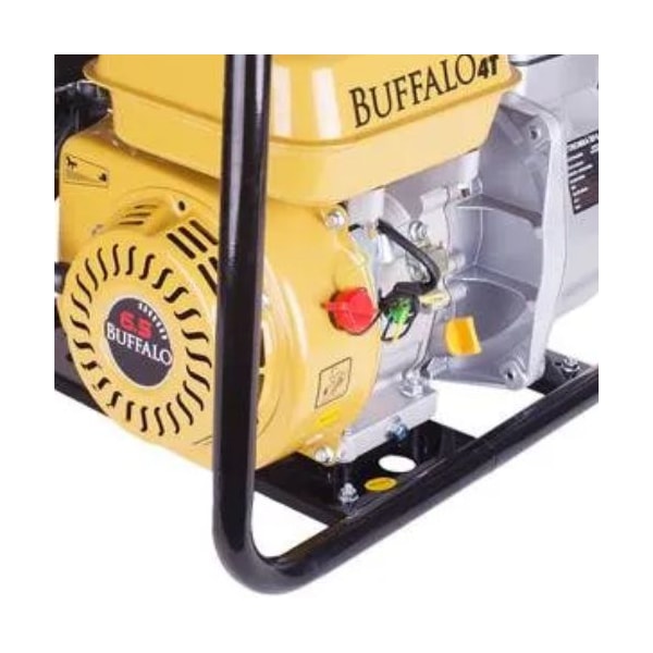Motobomba Autoescorvante Gasolina 7Cv Buffalo Manual Bfg 3