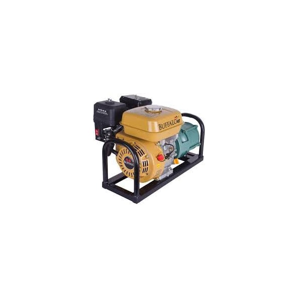 MOTOBOMBA MULTESTÁGIO BUFFALO BFG P1 1/4 6,5CV GASOLINA 4T PRESSÃO 85 MCA-fa29af20-06e9-41c6-8e81-ddf85064d705