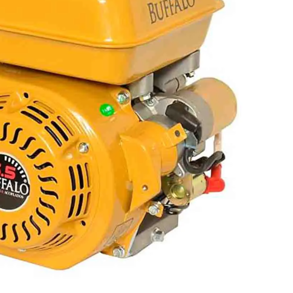 Motor A Gasolina 6,5Cv Partida Manual Monocilíndrico Refrigerado A Ar Buffalo Cód. 60600-af4764b8-f15c-4366-97e9-db69d5b20042
