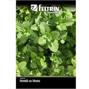 Semente De Hortelã Menta Feltrin Para Hortas, Vasos E Jardins