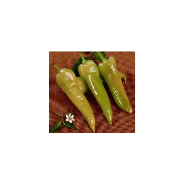 Semente De Pimenta Doce Comprida Feltrin 12 X 4 Cm-05c05700-8f7f-4e84-95eb-23f1a55372cf
