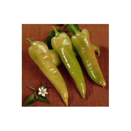Semente De Pimenta Doce Comprida Feltrin 12 X 4 Cm