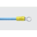 TERMINAL TIPO OLHAL PRE ISOLADO 6,0MM TP 23 6 INTELLI-c3b60c85-1cf7-4593-a981-9315cbf1bffd