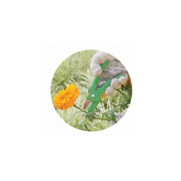 TESOURA DE PODA TRAPP TS3113 JARDIM AÇO INOX 8MM-6cc6d9b6-397d-48f1-9607-8a11f4e36e55