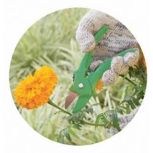 Tesoura De Poda Trapp Ts3113 Jardim Aço Inox 8Mm