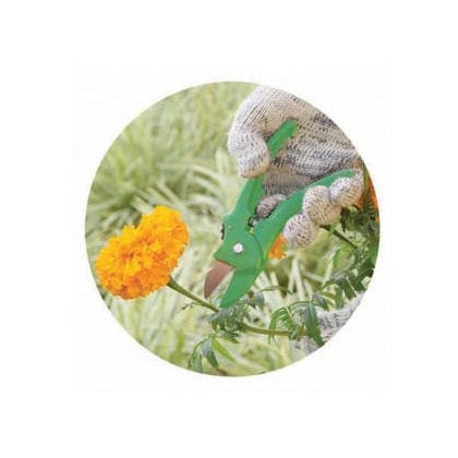 Tesoura De Poda Trapp Ts3113 Jardim Aço Inox 8Mm